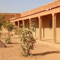 les arbres poussent