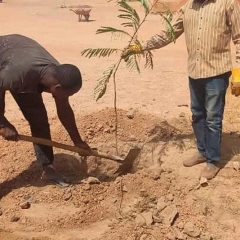 Plantation